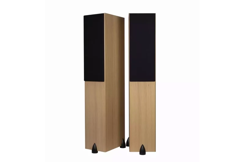 Totem Acoustic Bison Twin Tower