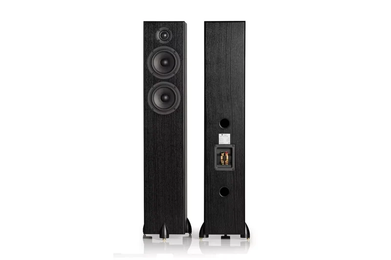 Totem Acoustic Bison Twin Tower