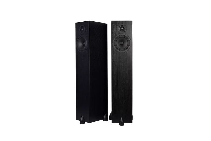 Totem Acoustic Bison Tower