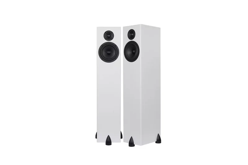 Totem Acoustic Bison Tower