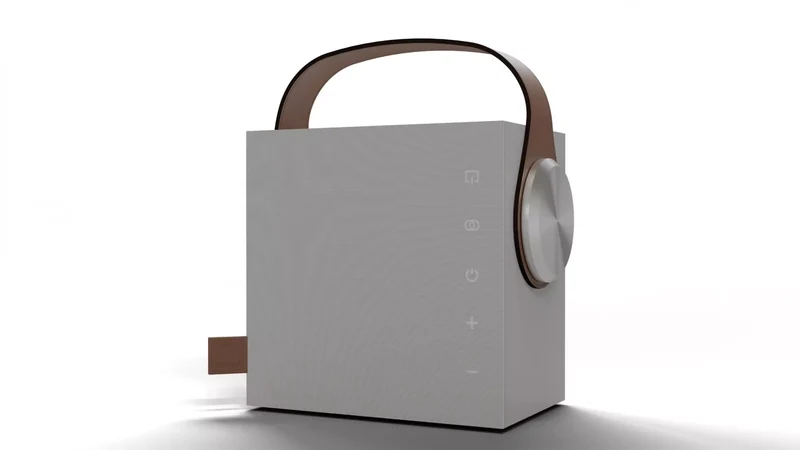 Morel BIGGIE diffusore Hi-fi portatile wireless da 100 mm