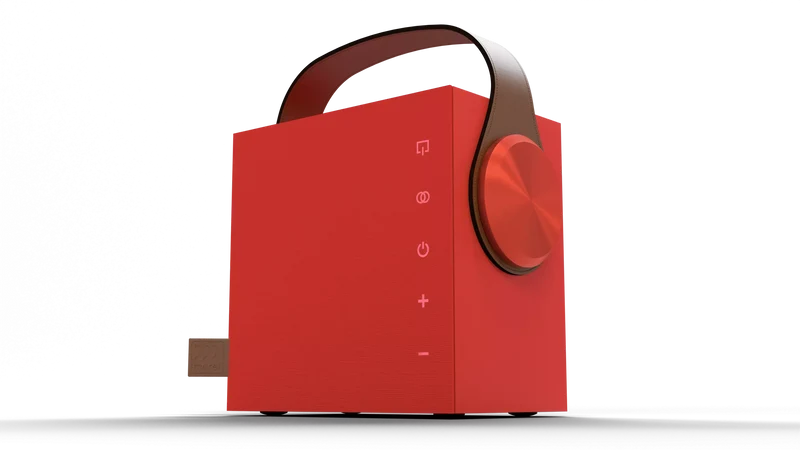 Morel BIGGIE diffusore Hi-fi portatile wireless da 100 mm