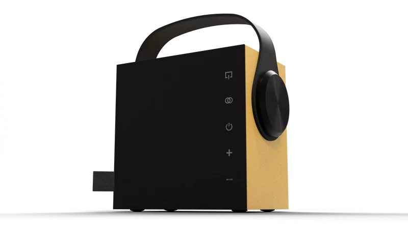 Morel BIGGIE diffusore Hi-fi portatile wireless da 100 mm