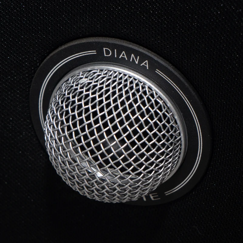 Gold Note DIANA II coppia diffusori da scaffale 2 vie bass-reflex 2 × 6,5” 8 ohm