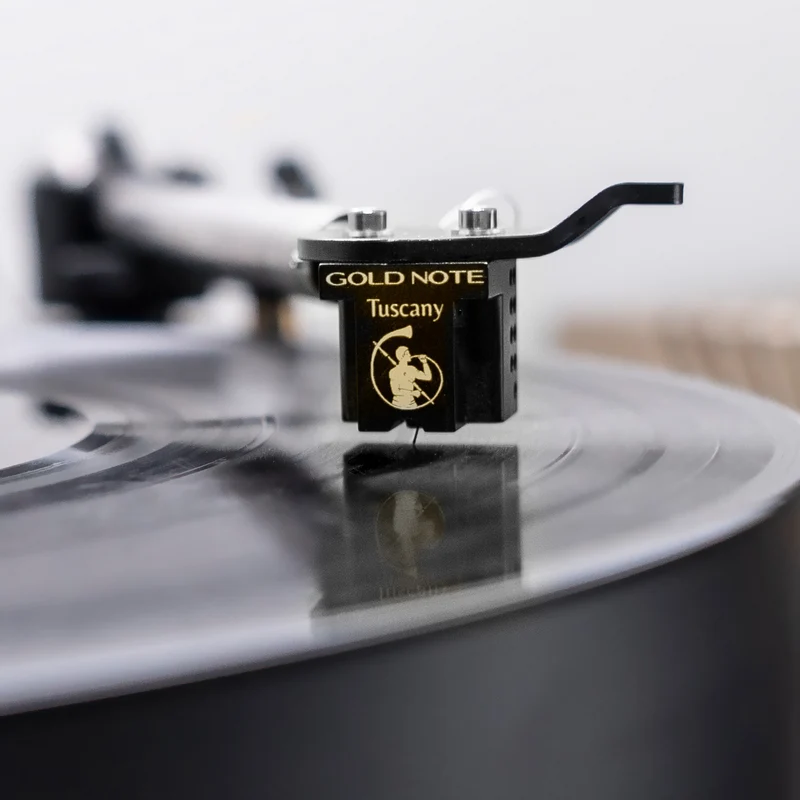 Gold Note Tuscany Gold testina phono MC a bassa uscita con stilo Super Micro Ridge