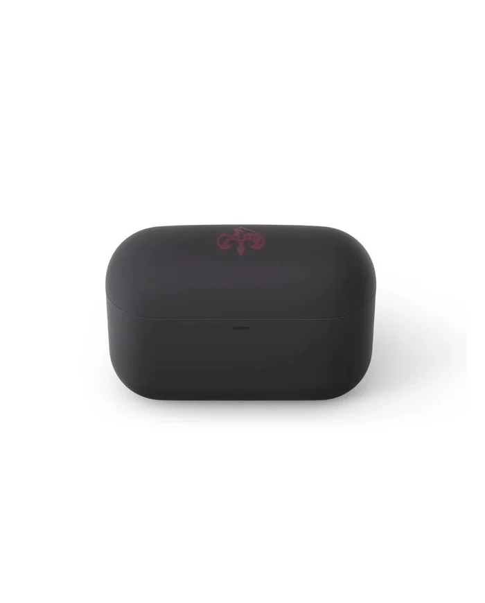 Final Audio ZE500 ASMR Cuffia Intraurale (Black)