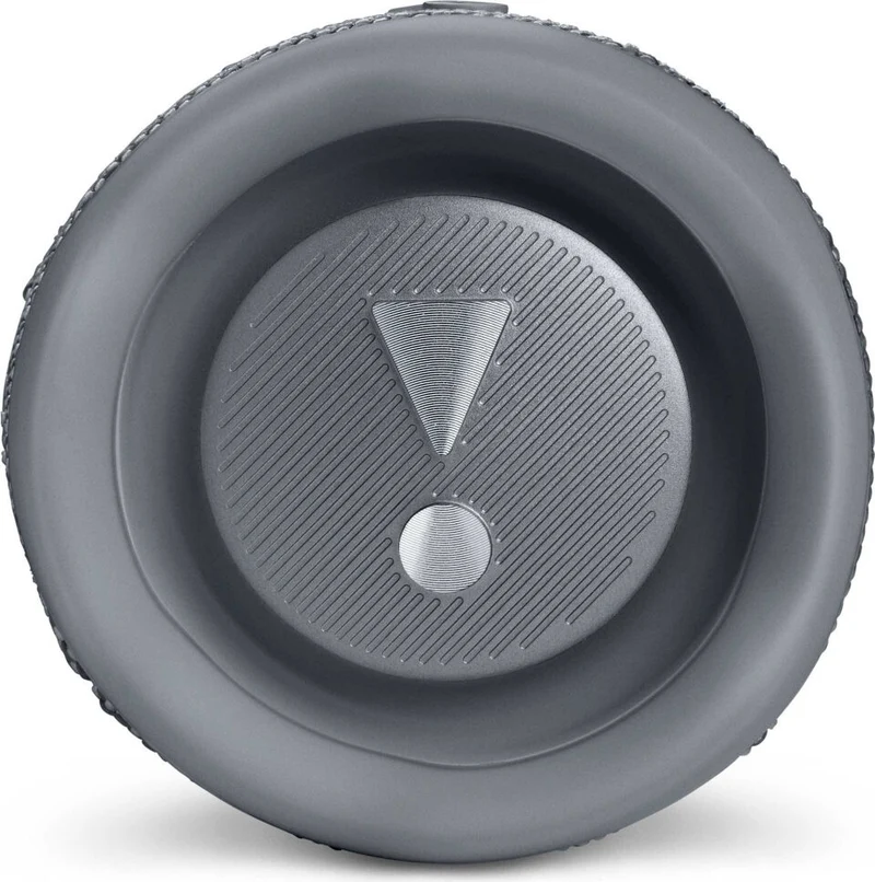 Flip 6 Grigio - Speaker Bluetooth Waterproof Portatile