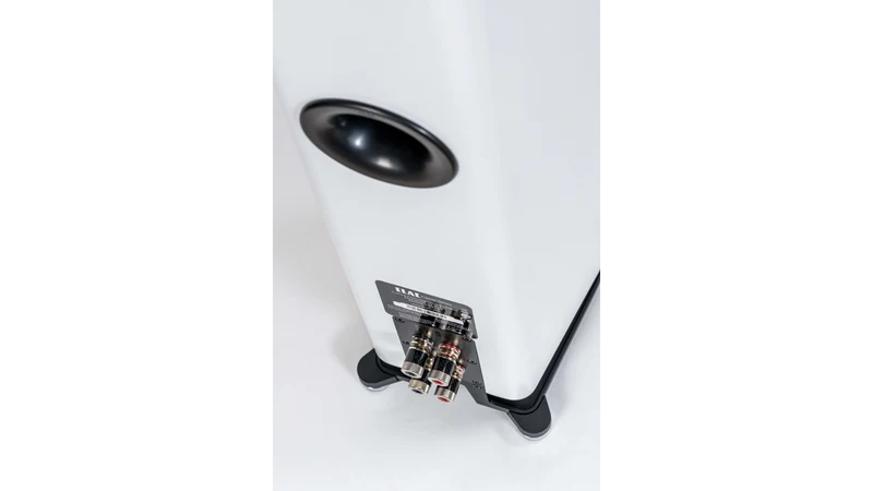 ELAC Carina FS247.4 coppia diffusori da pavimento 2,5 vie 5,25” 6 Ohm 120W