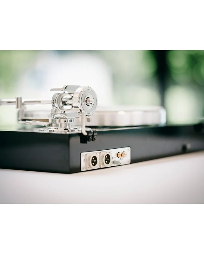 Pro-ject THE CLASSIC REFERENCE Acacia/Brass Giradischi "no compromise"