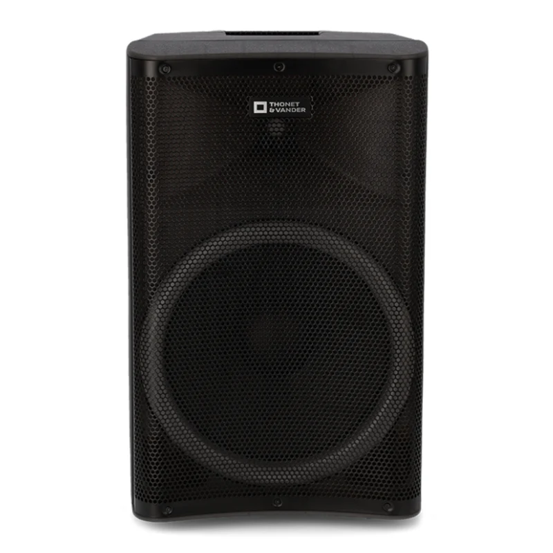 Thonet & Vander Parlante Inalámbrico con Micrófono 250W Stark G2 (HK096-03646)