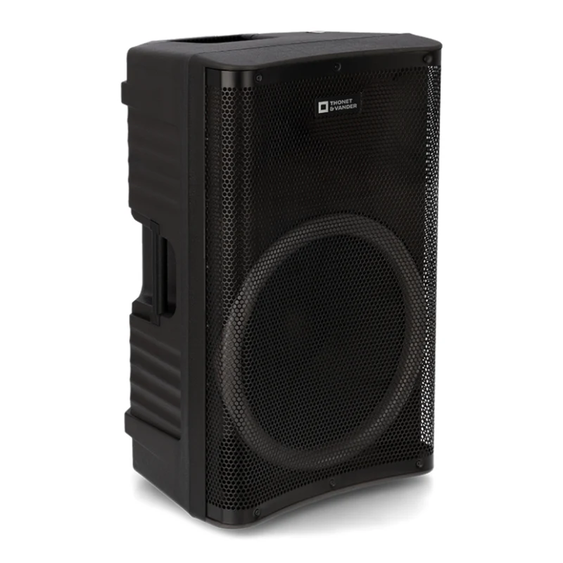 Thonet & Vander Parlante Inalámbrico con Micrófono 250W Stark G2 (HK096-03646)
