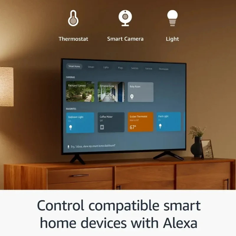 Amazon Dispositivo Streaming Fire TV Stick HD 2024