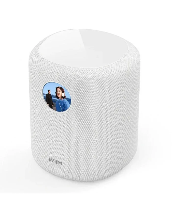 WiiM Sound Diffusore attivo Wi-Fi 6E | Bluetooth 5.3 (SBC, AAC, LD3) | Ethernet | Aux