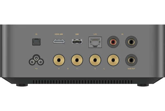 WiiM AMP ULTRA Amplificatore integrato con Streamer 100W 2 canali, DAC ESS ES9039Q2M SABRE