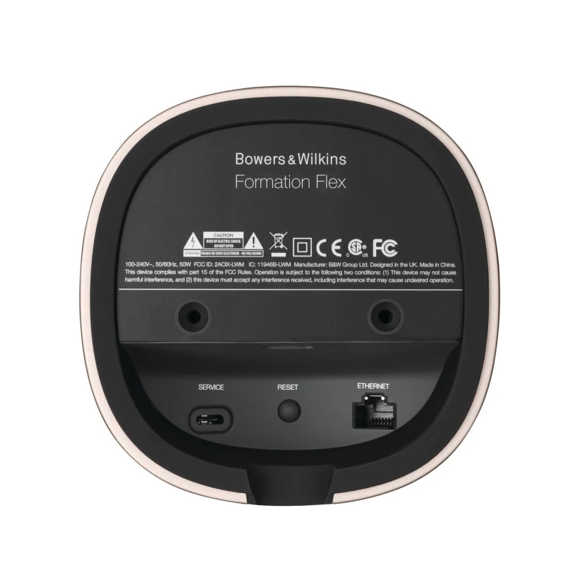 Diffusori Audio Wireless Formation Flex B&W