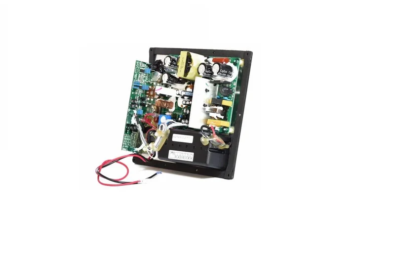 Ciare YSD100 modulo di potenza per Subwoofer da 100W