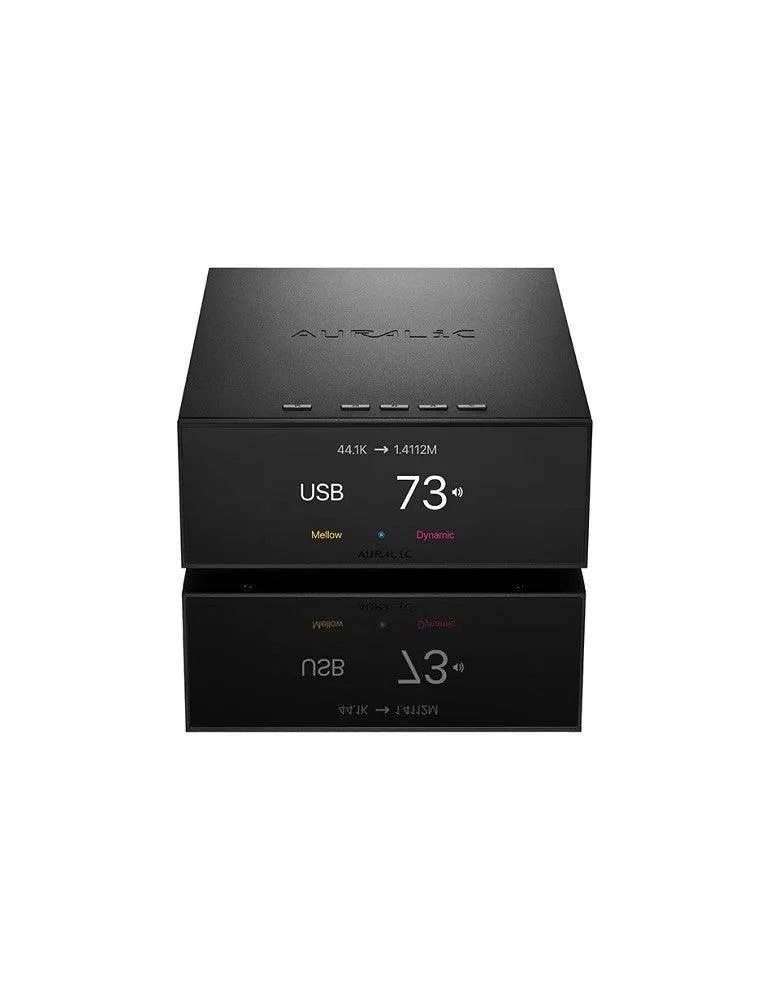 Auralic VEGA S1 Streamer di rete con DAC Delta Sigma con tecnologia proprietaria Fusion DAC