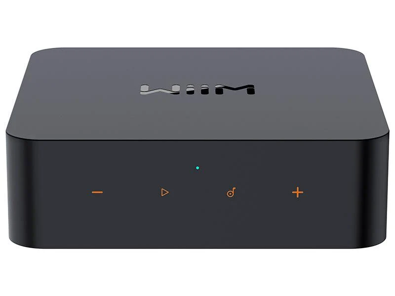 Rotel A-14 MKII SILVER Amplificatore Integrato Stereo 2 Canali 80 Watt, PC-USB Con MQA