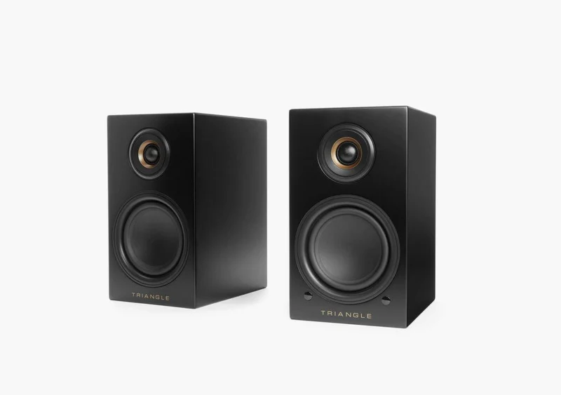Triangle LN01A Coppia diffusori attivi Bluetooth 4.0 2 vie bass-reflex 2x50W