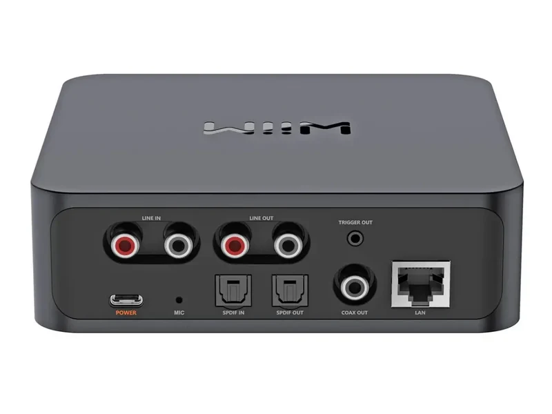 WiiM PRO PLUS Streamer e DAC Audiophile AKM AK4493SEQ, Output 24-bit/192kHz Chromecast audio, WiFi Multiroom