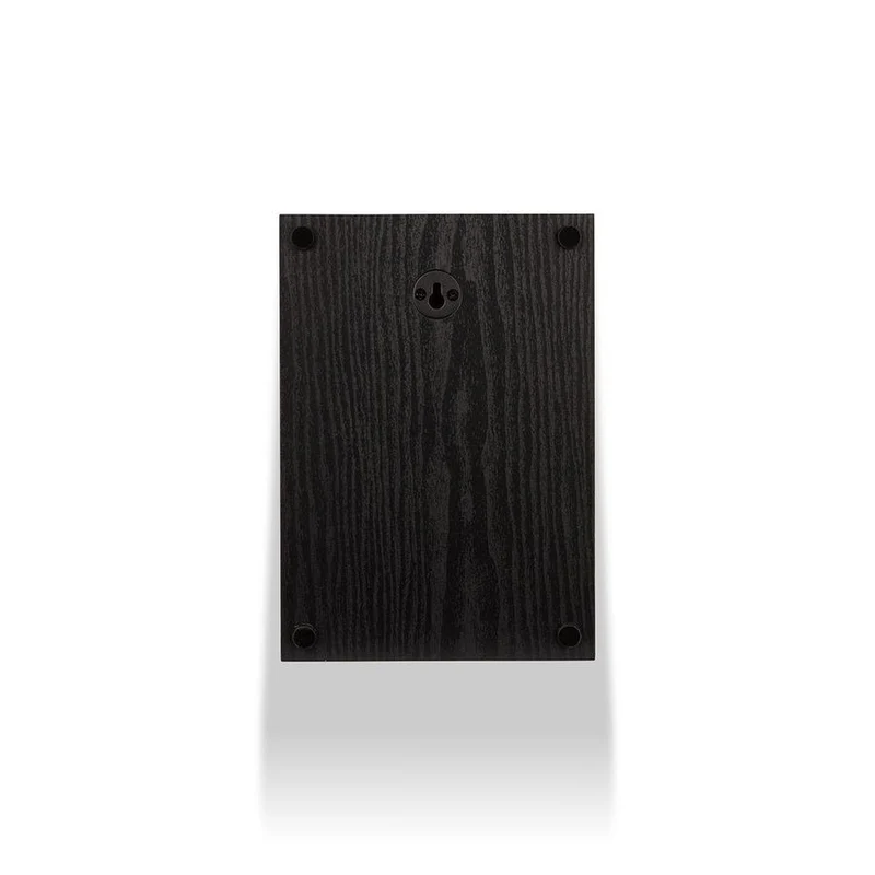 Wilson RAPTOR X Diffusori surround ATMOS 100W (COPPIA)