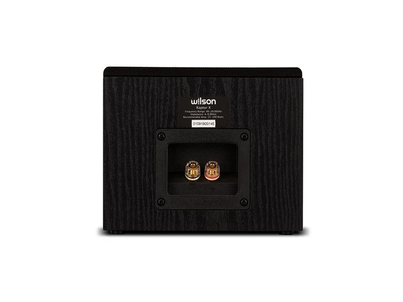 Wilson RAPTOR X Diffusori surround ATMOS 100W (COPPIA)