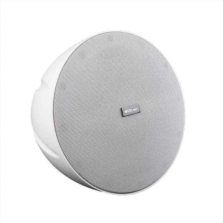 Master Audio PW500W Diffusore a sospensione 30W, con trasformatore 100V