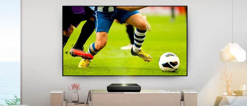Optoma ALR120 schermo per proiettore 3,05 m (120") Rapporto d'aspetto nativo: 16:9