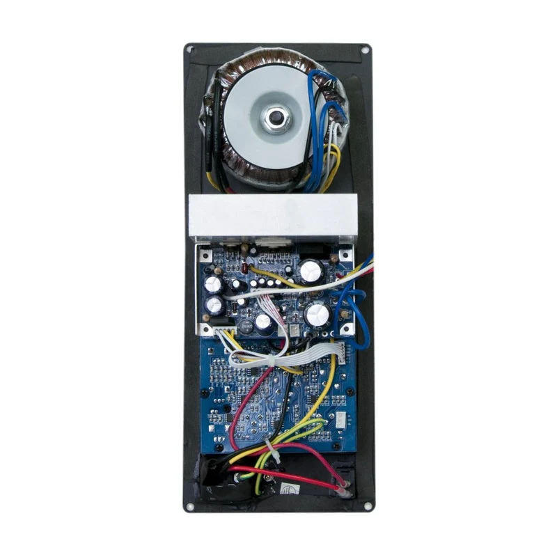 Master Audio SPB20 Modulo BI-AMPLIFICATO 130W RMS universale