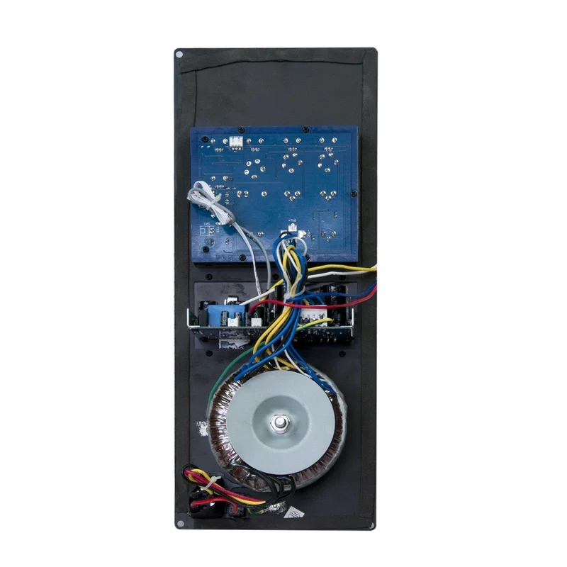 Master Audio SPB38 Modulo BI-AMPLIFICATO 300W RMS