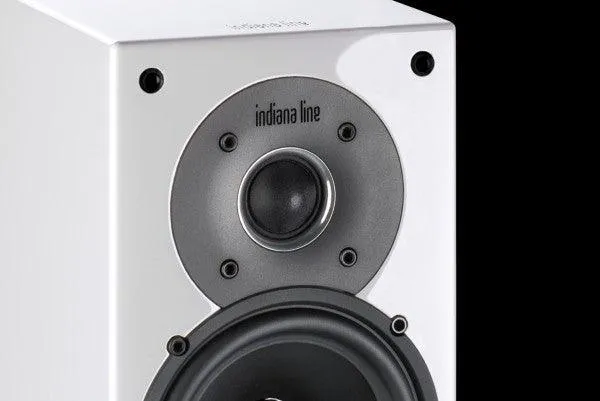 Indiana Line TESI 242 LB Diffusori (Coppia) 2 vie da scaffale, woofer 120 mm 30-80 Watt, 4-8 ohm (High Gloss Bianco)