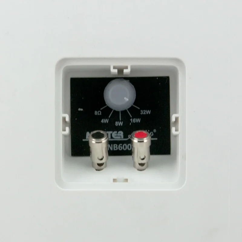 Master Audio NB600TW diffusori DA ESTERNO 2 vie con selettore 8 Ohms / 70-100 Volts (COPPIA)