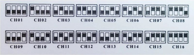 KARMA BM 661-2RM - Processioniere con 2 radiomicrofoni