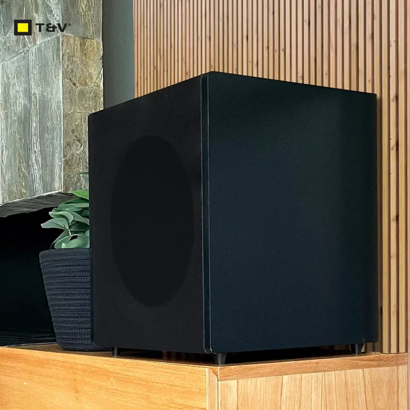 Thonet & Vander Parlante Inalámbrico 100W SW10 (HK096-03649)