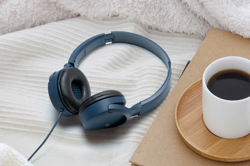 JVC HA-S33UC Cuffie a padiglione con cavo USB-C