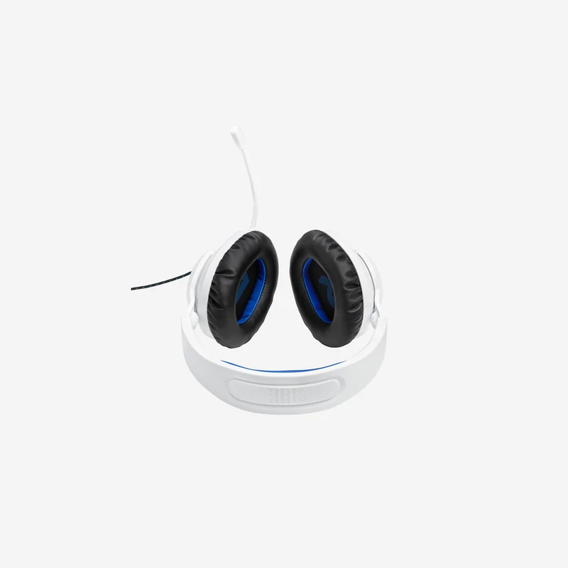 JBL Quantum 100P