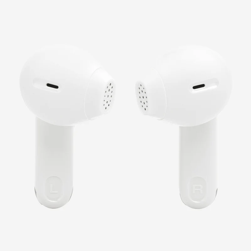 JBL Tune Flex 2