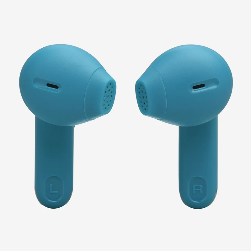 JBL Tune Flex 2