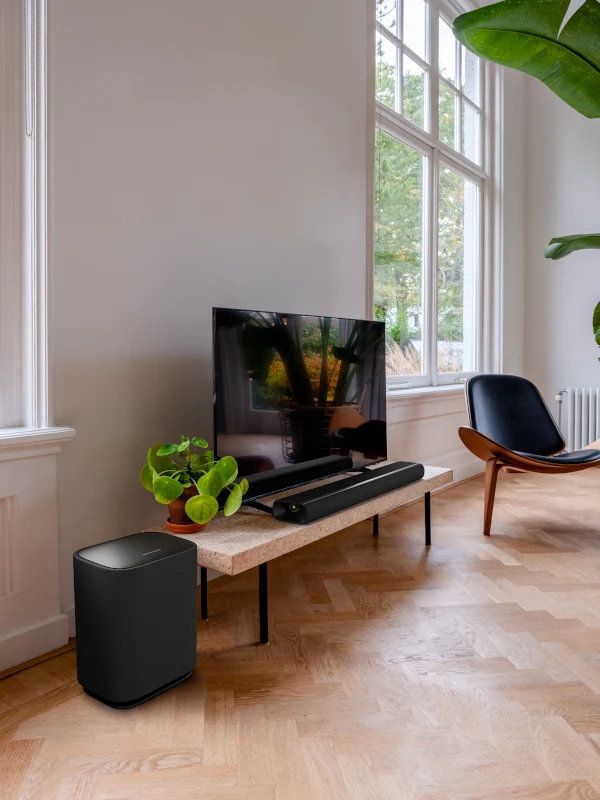 Harman Kardon Enchant Subwoofer 2