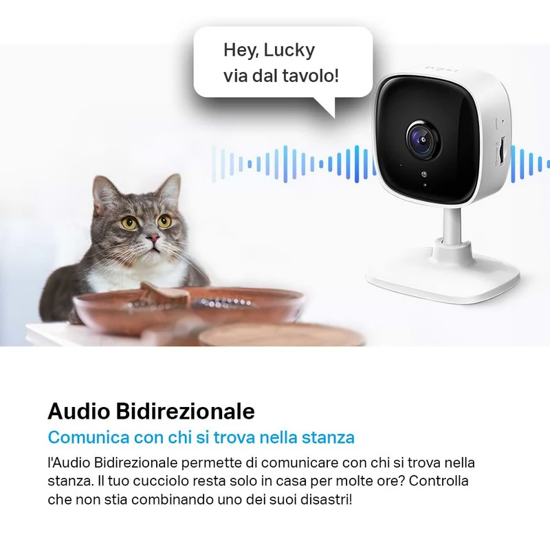 Tapo C100 Telecamera Wi-Fi Interno 1080P FHD