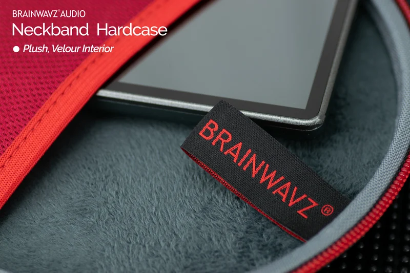 Earphone Hardcase - Bilog